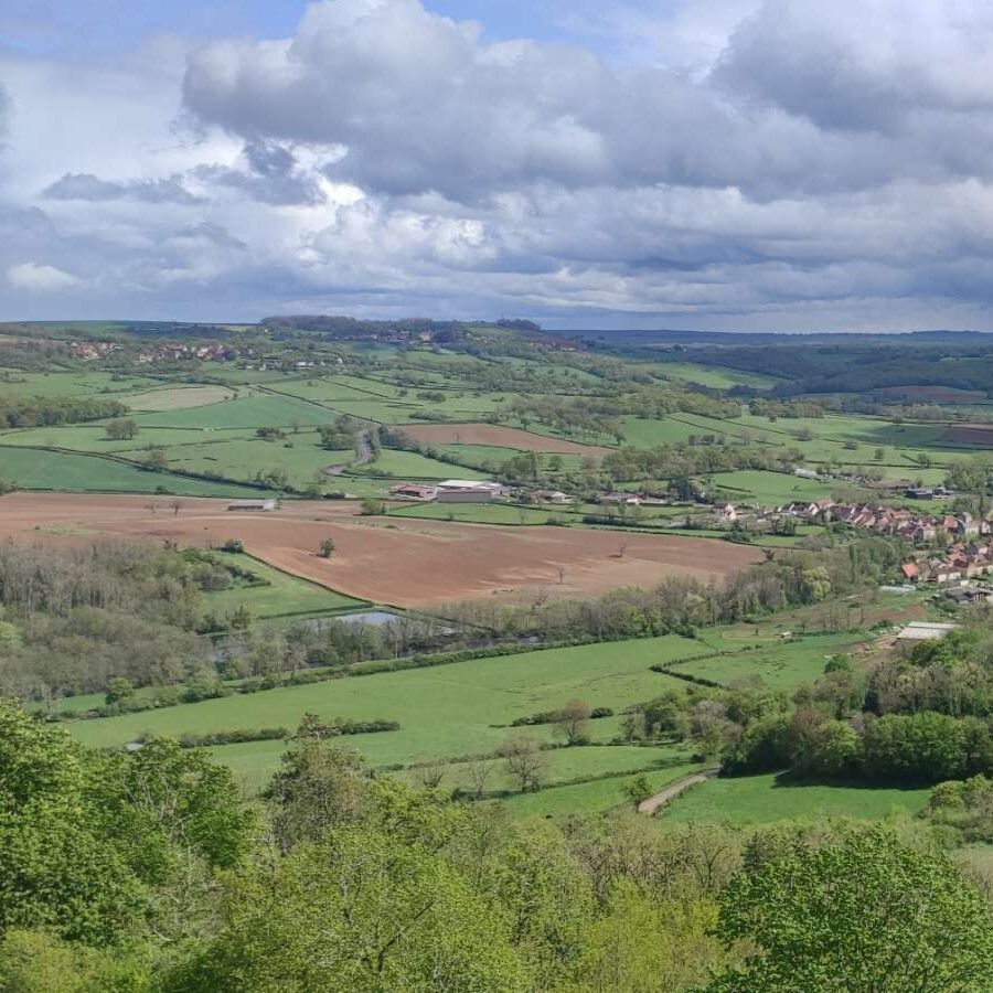 🙋‍♀️ Quelle place pour les haies en BFC ?