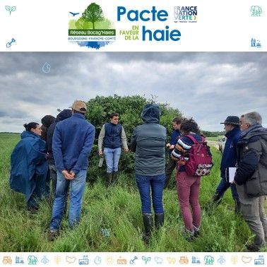 📅 Retour sur les journées Pacte en faveur de la haie
