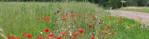 Crédit photo : David Michelin