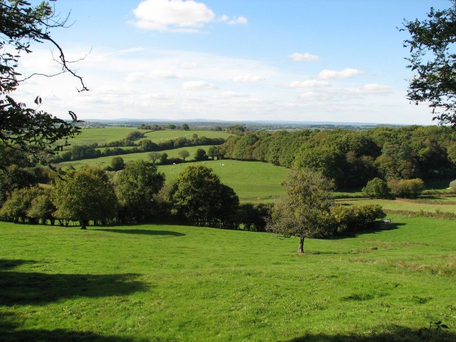 Bocages. Crédit photo : David Michelin