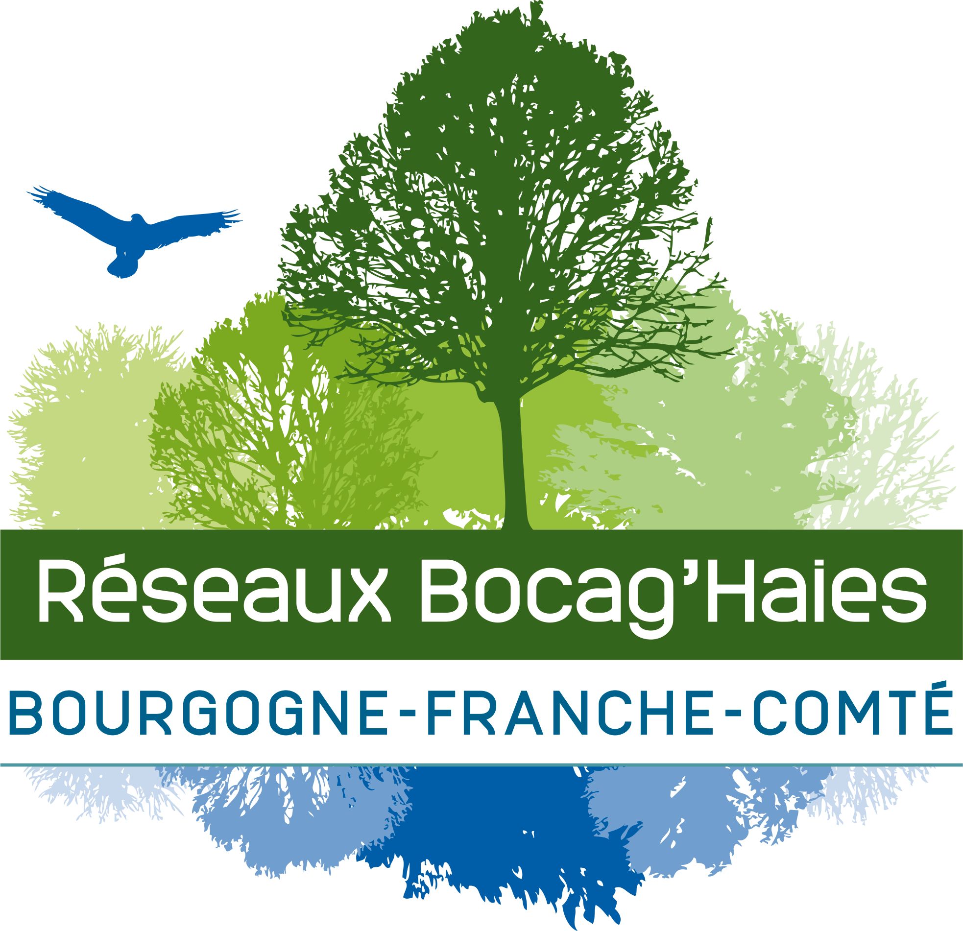 Réseau Bocag'haies