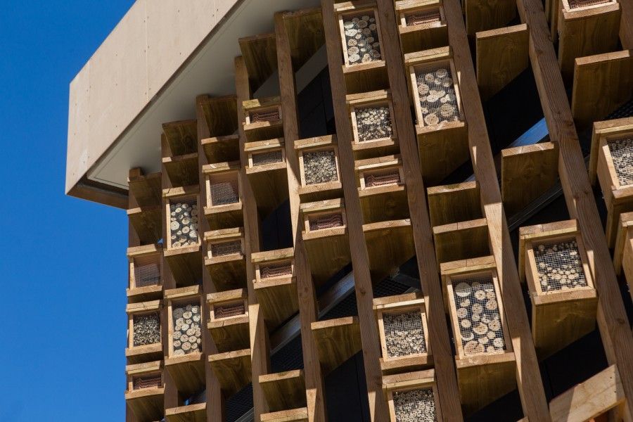 Crédit photo : Jonas Jacquel