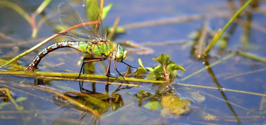 Crédit photo : Stéphanie Marquet
