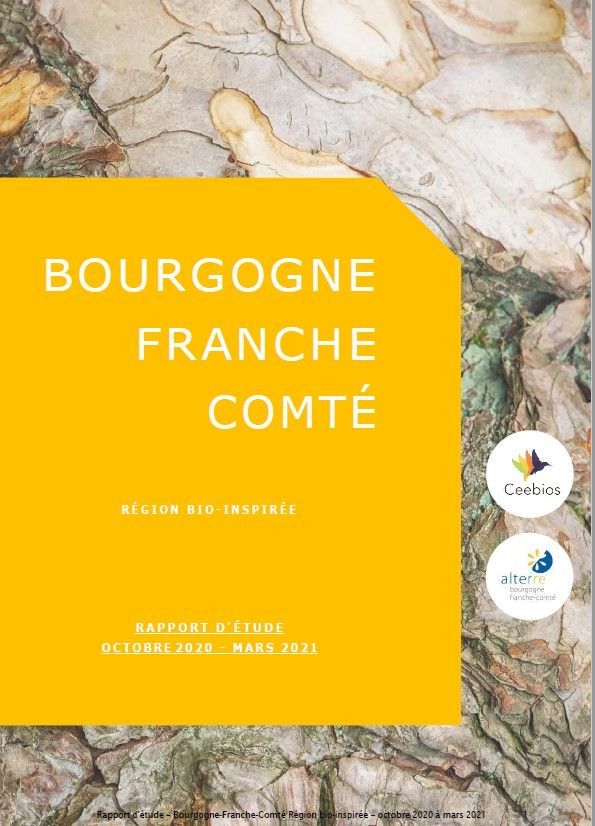 Le rapport d'étude sur les potentiels du biomimétisme en Bourgogne-Franche-Comté vient d'être publié