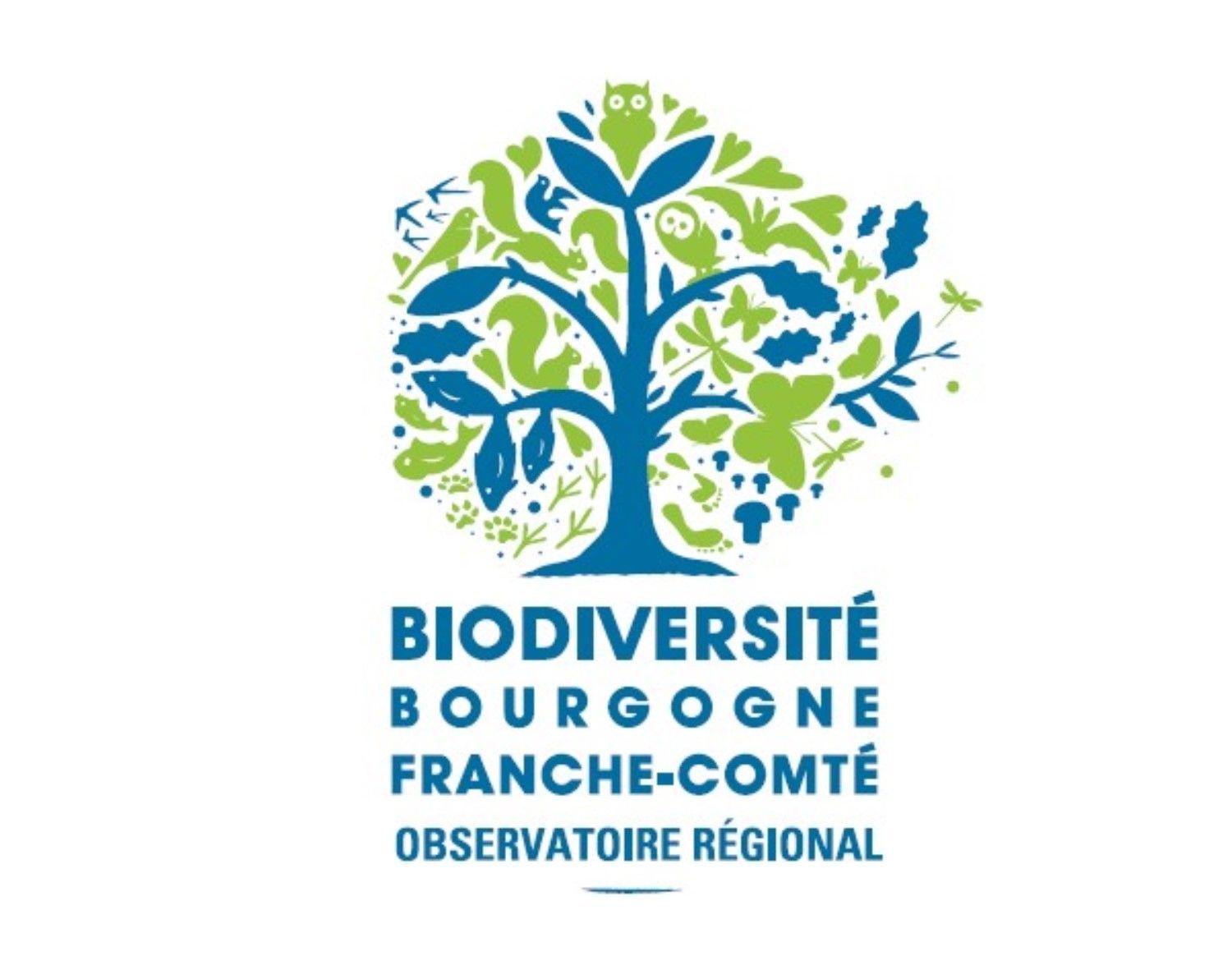 Retour sur la Journée de lancement de l'Observatoire régional de la biodiversité de Bourgogne-Franche-Comté le 11 avril 2019 