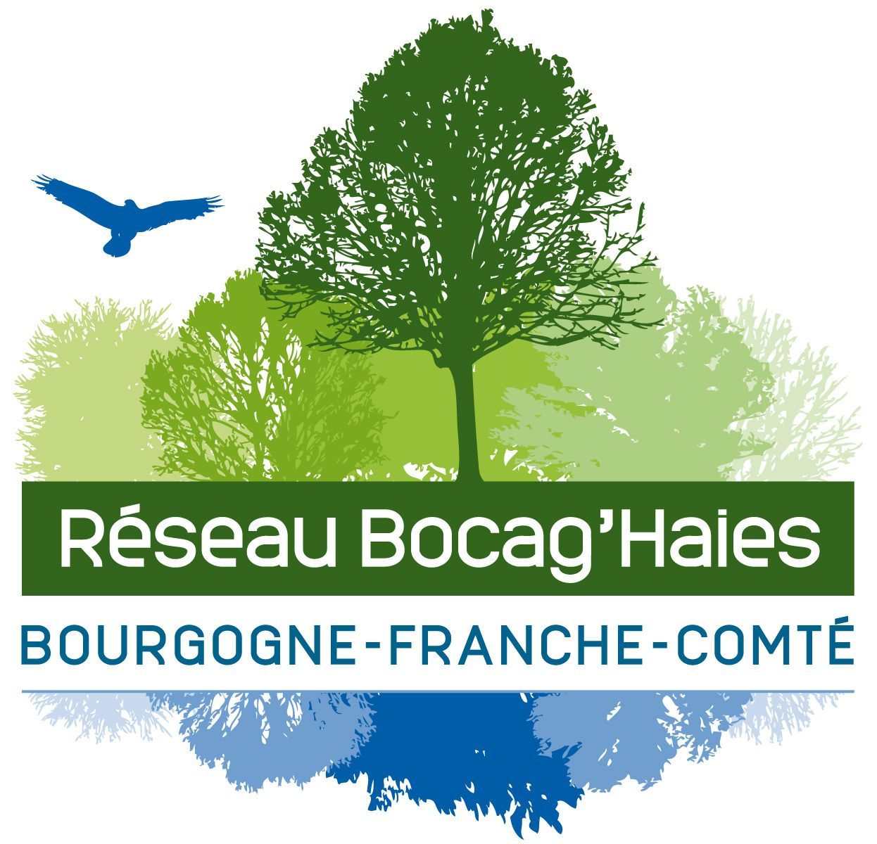 La prochaine journée du réseau Bocag'Haies aura lieu à Laviron (25) le 19 novembre