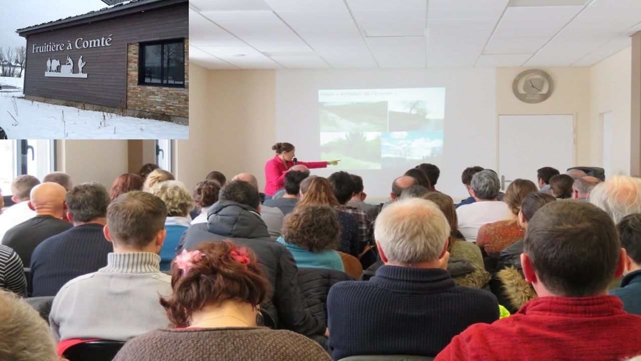 Si les haies m'étaient comté 