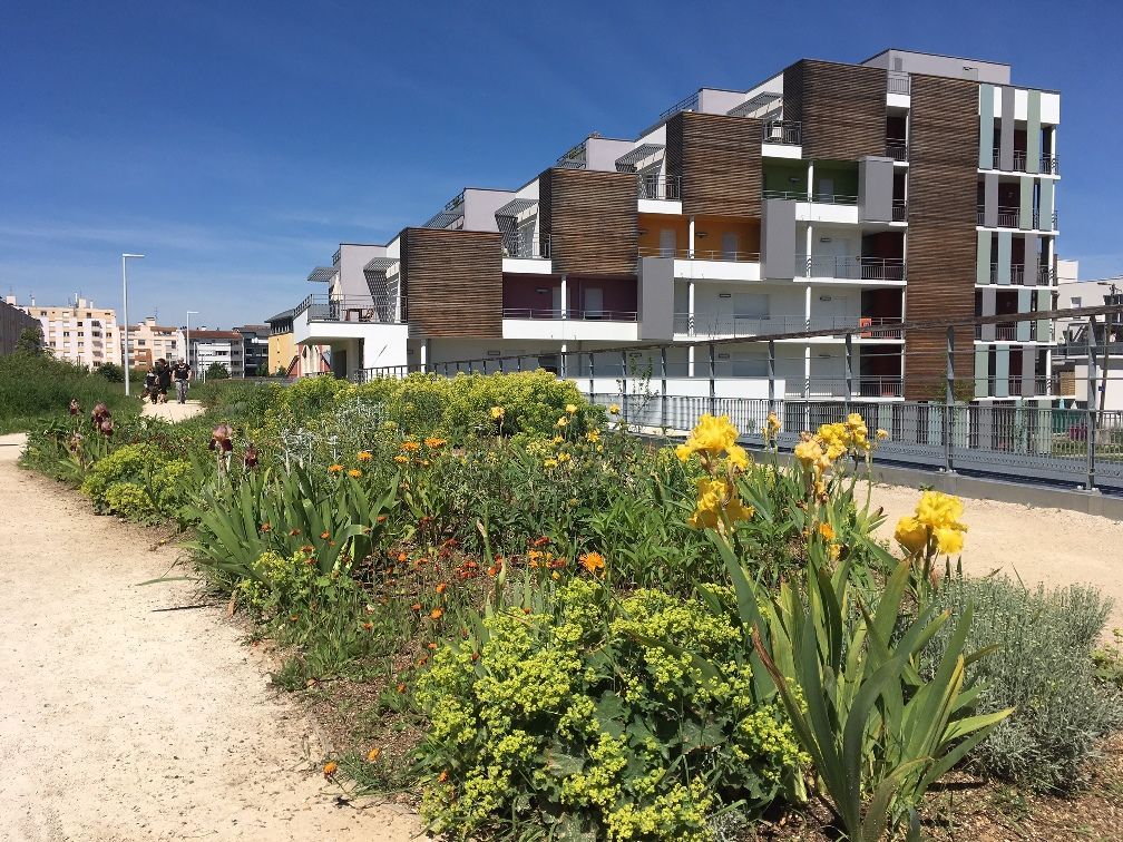 Où en est-on dans la réduction des produits phytopharmaceutiques ?