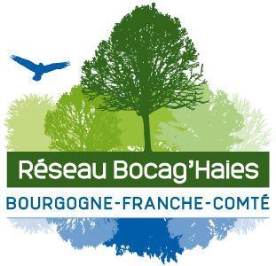L'actualité du Réseau Bocag'Haies