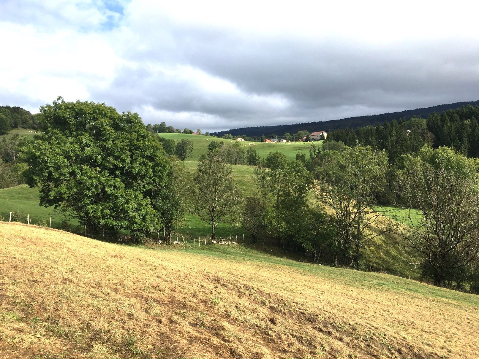 Biodiversité : l'observatoire se structure à l'échelle de la grande région