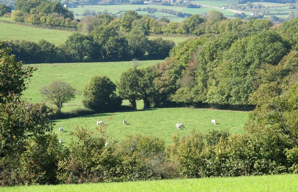 Le Réseau Bocages a défini ses priorités pour 2017