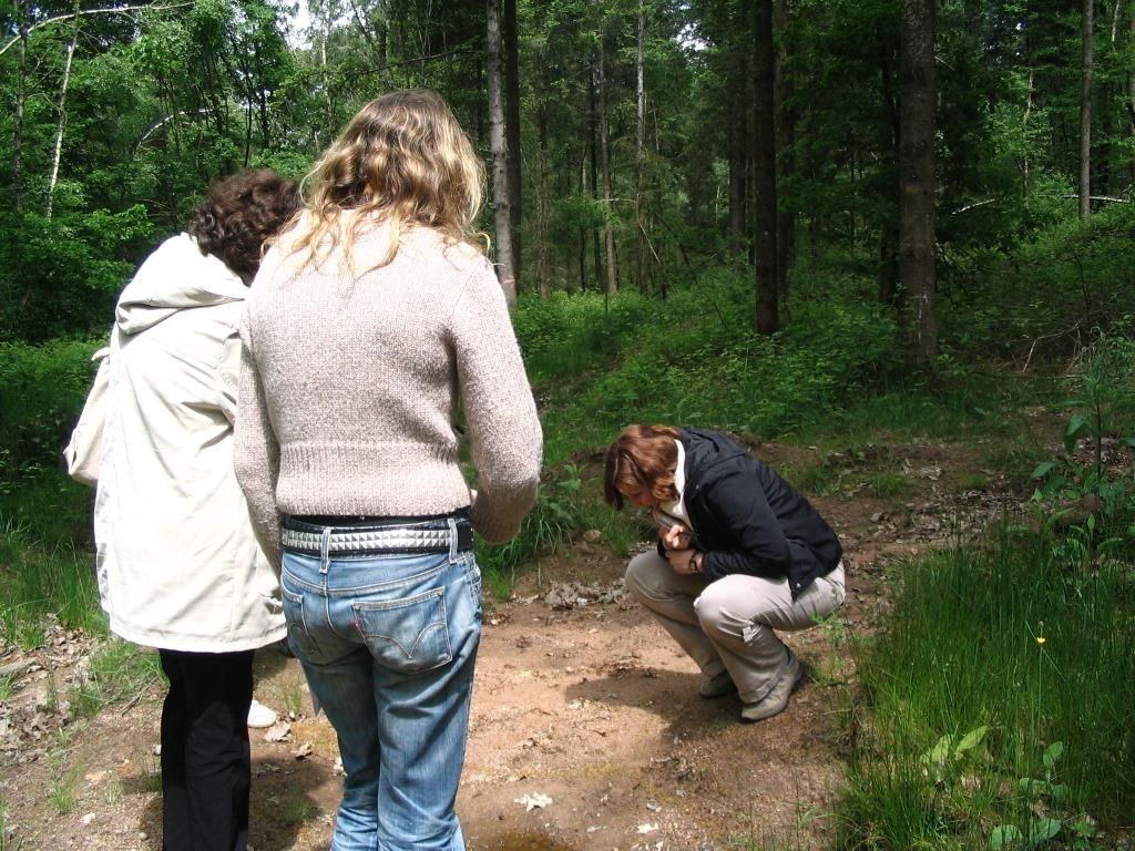Les formations Plani'Sffere à venir