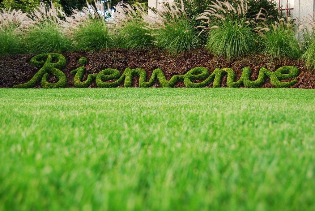 Bienvenue sur notre site "relooké"