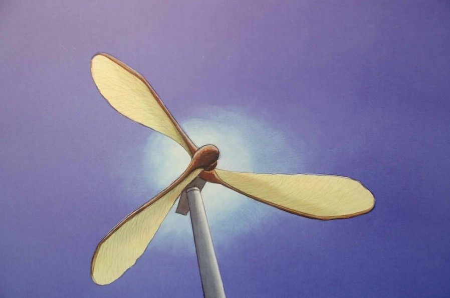 Le biomimétisme à l'honneur