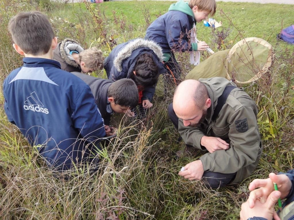 Formation "Aménager un coin de biodiversité dans une structure éducative"