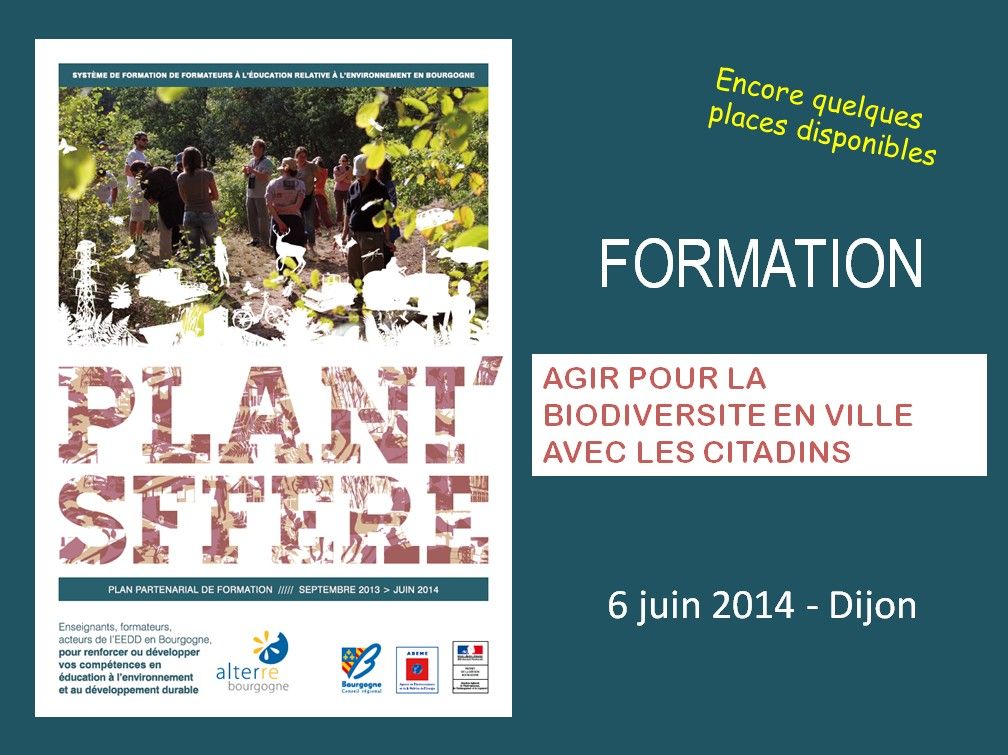 Agir pour la biodiversité en ville avec les citadins