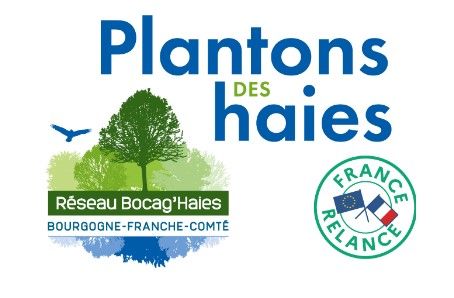 Retour sur les derniers travaux du programme "Plantons des haies"