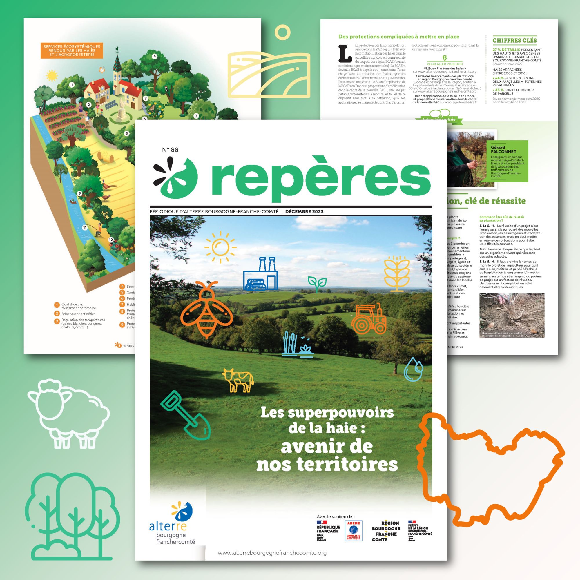 Les superpouvoirs de la haie : avenir de nos territoires