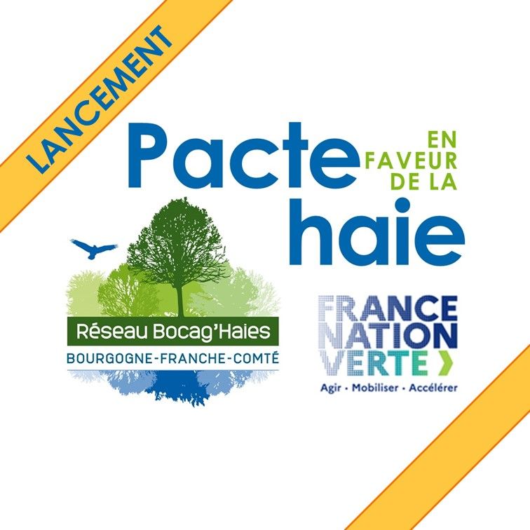 Lancement du « Pacte en faveur de la haie »