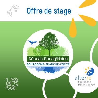 🤝 Offre de stage à Alterre